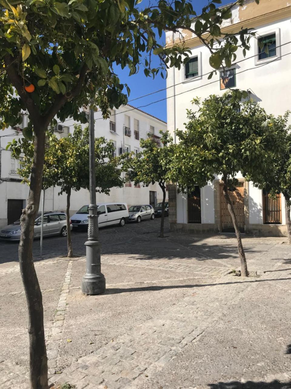 Apartamento !!Vive Jerez!! Jerez de la Frontera Exterior photo